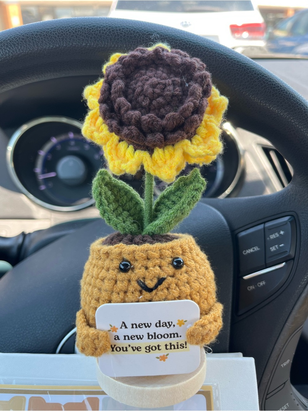 Crocheted Smiling Sunflower positive flower - Yellow & Brown box damaged